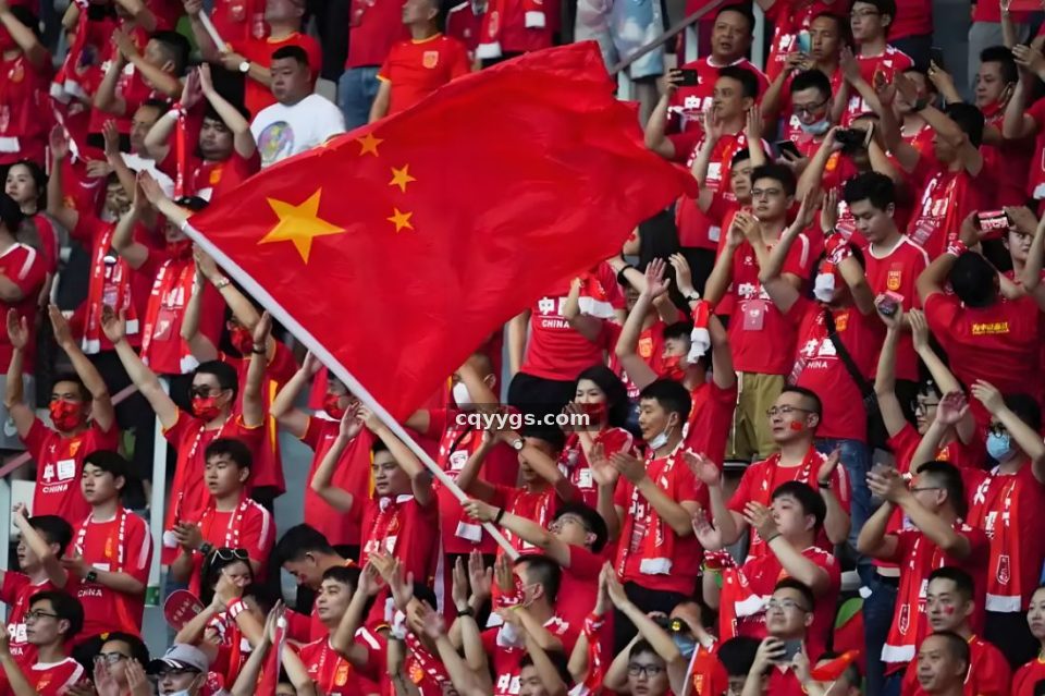 探球网 编辑部与数据分析团队协作场景