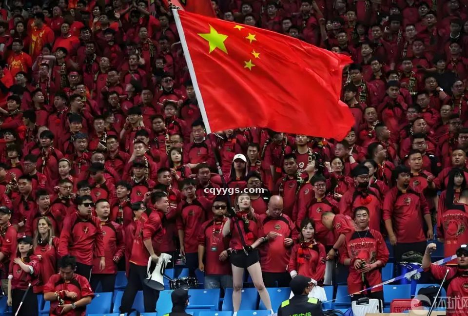 探球网 战术图解专栏服务