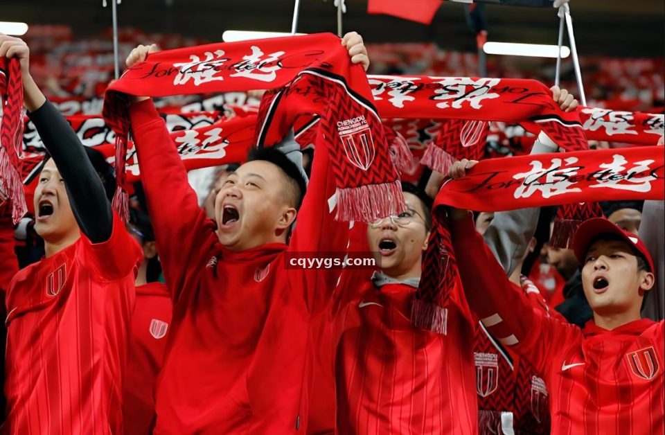 探球网 2026年数据分析平台全面升级